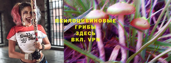 герыч Ладушкин