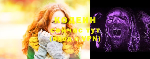 гидра Алапаевск