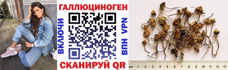 Псилоцибиновые грибы мицелий  Купить  Окуловка 